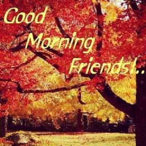 Good Morning Friends Have...