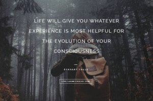 LIFE WILL GIVE YOU WHATEVER EXPERIENCE IS MOST HELPFUL FOR THE ...