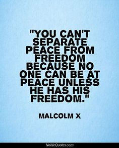 Even the most militant minds must first contemplate the nature of ...