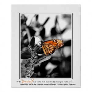 Monarch Butterfly With Quote Fine Art Print
