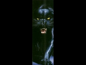 Black Panther II Door Poster
