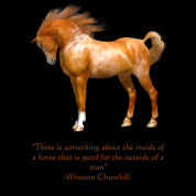 Winston Churchill Horse Quote with an Arabian Horse Mug