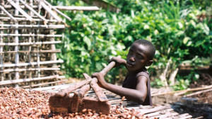 Companies say child labor has no place in their supply chains, NGO ...