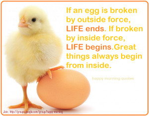 If an egg is broken by outside force !