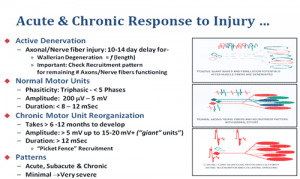 Funny Quotes Contact Us DMCA Notice