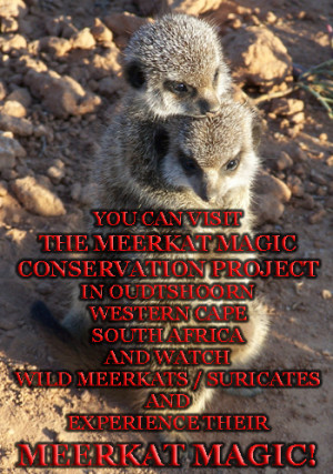 Western Cape Klein Karoo Little Karoo Garden Route Area South Africa ...