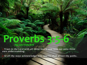 Proverbs 3:5-6 Bible verse - bible verse wallpaper, bible verse ...