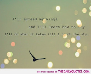 ... -how-to-fly-ill-do-what-it-takes-till-i-touch-the-sky-life-quote.jpg