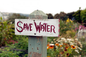 Water Harvesting Conservation and Recharge