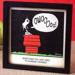 ... quote from Snoopy reads 