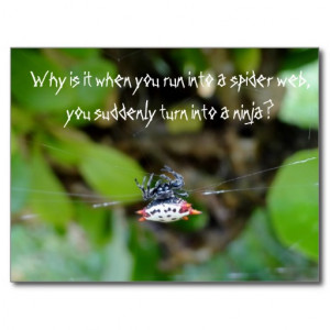 Crab Spider Postcard / Funny Ninja Quote