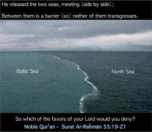 Science in the #Quran.