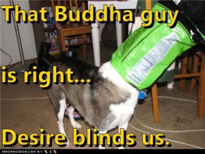 That Buddha guy is right... Desire blinds us.