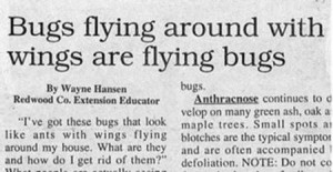 Great Newspaper Headlines