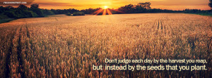 Dont Judge By The Harvest You Reap Quote Facebook Cover