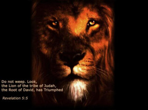 lion of judah Image