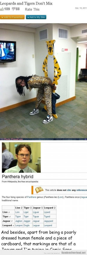 Dwight Schrute has something to say on this matter
