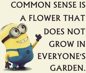 Funny Minions