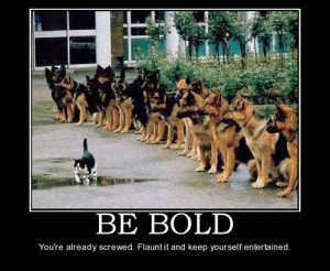 Freedom Lies Being Bold Robert Frost Quote Wisdom