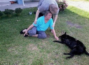 ... of a dog owner moments after police shoot dead her friendly family pet