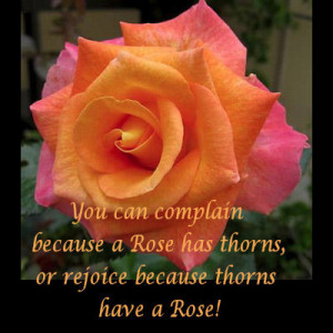 You can complain because a Rose has thorns….