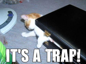 Caturday: Invisible Trap Behind Me... »