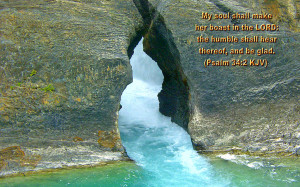 ... In The Lord The Humble Shall Hear Thereof, And Be Glad. ~ Bible Quote