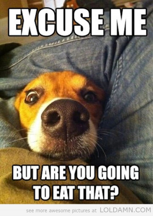 Just Three Average Cupcakes