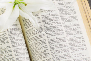 lily open bible with lily free stock photography images download