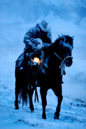 Cowboy And His Horse #cowboy & his #horse rescue a