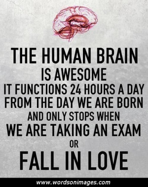 Loving friendship quotes