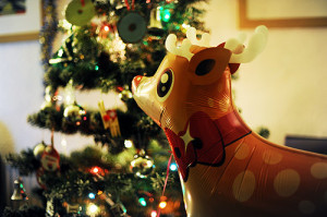 Funny Quotes Contact Us DMCA Notice