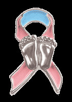 Michigan House Passes Stillbirth/Kick Counting Legislation August 16th ...