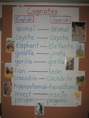 ... Cognates Helpful, Cognates Anchors, Anchor Charts, Developmental Mary