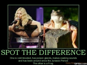 madonna-funny-picture-500x375.jpg