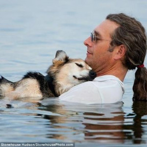 Owner takes his 19 year old dog Schoep into the lake each evening to ...
