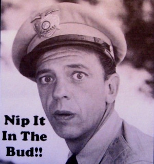 Barney Fife: