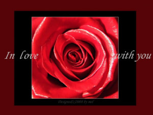 LOVE-analove-romantic-quotes-Roses-Flowers-MY-FLOWER-BOX-Love_large ...