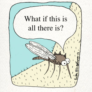 Mosquitos Have Existential Crises, Too