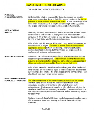 Dawn Brancheau Autopsy