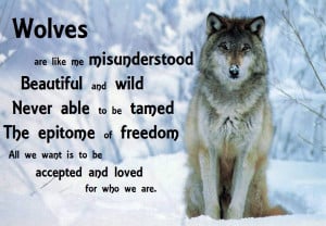 Wolves are like me misunderstood Beautiful and wild