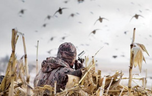 ... hunting/2012/12/waterfowl-hunting-what-you-need-know-about-steel-shot