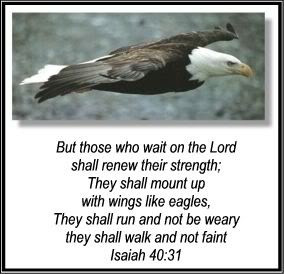 ... those who wait on the Lord shall renew their Strength – Bible Quote