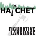 HATCHET Figurative Language Analyzer (51 quotes) Using quotes from ...