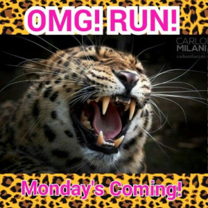 Omg! RUN! Monday's coming!!! Sunday night, dreading Monday, weekend is ...
