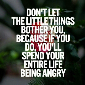 don t let little things bother you