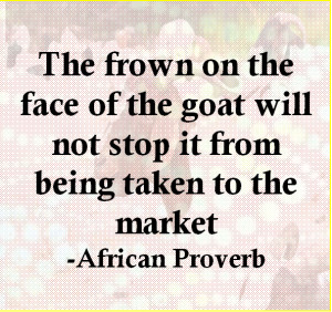 The frown on the face of the goat will not stop it from being taken to ...