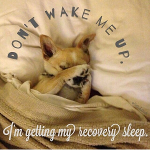 ... quote #love #cute #puppy #sleep #best #sleepy #naps #cosy #