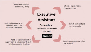 Executive Assistant Role