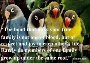 The Bond That Links Your True Family